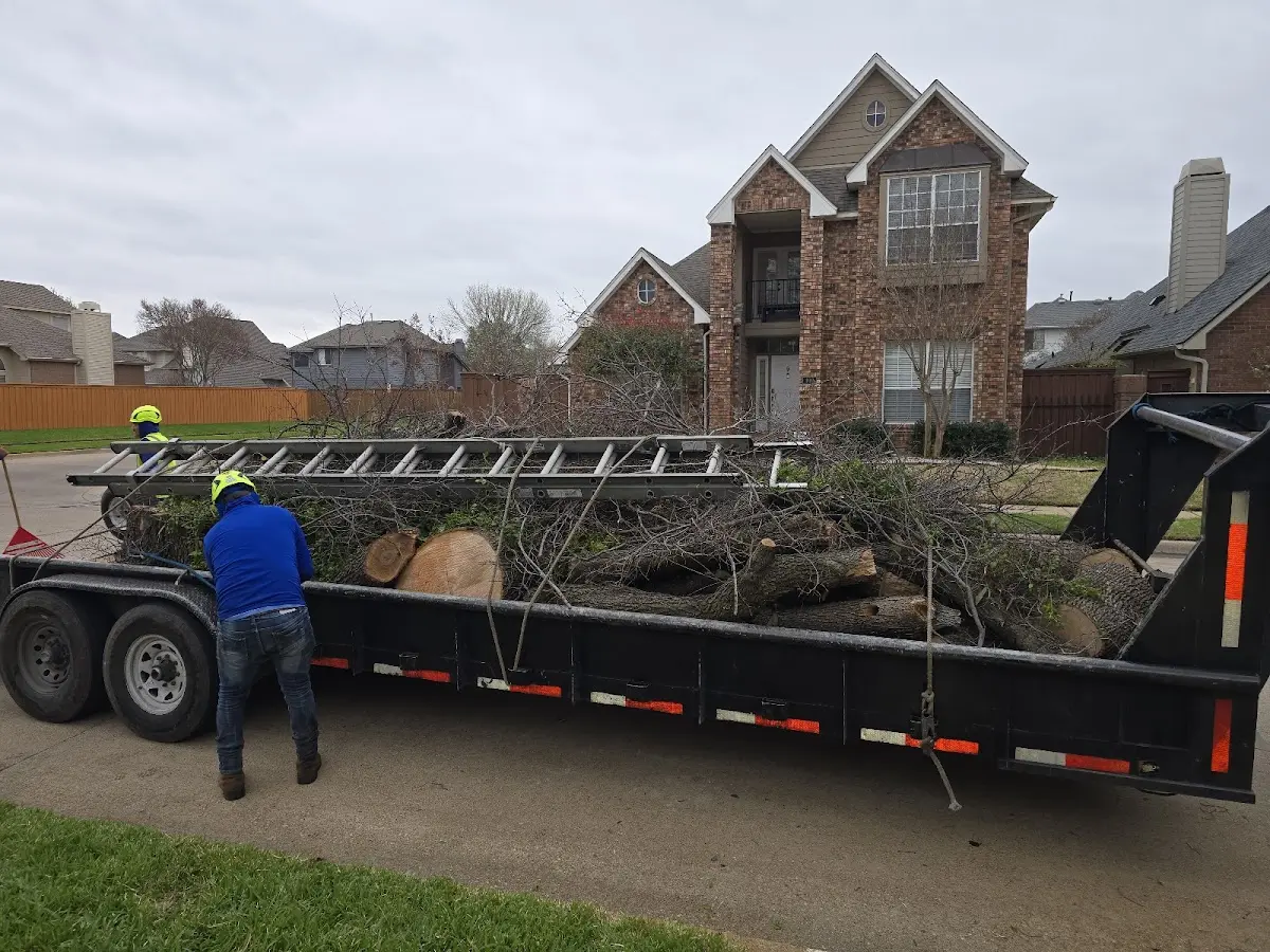Expert Tree Fertilization with proper safety equipment in Crofton